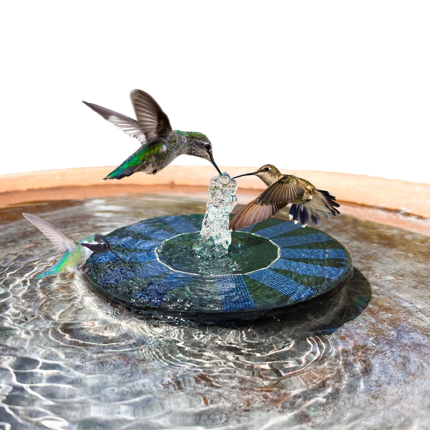 Quackups® 6¼" REPLACEMENT Solar Pump – Bird-Friendly, Non-Spray & Non-Float Design, Gentle Bubbling Solar Pump Exclusively for Quackups Bubbler Bird Bath