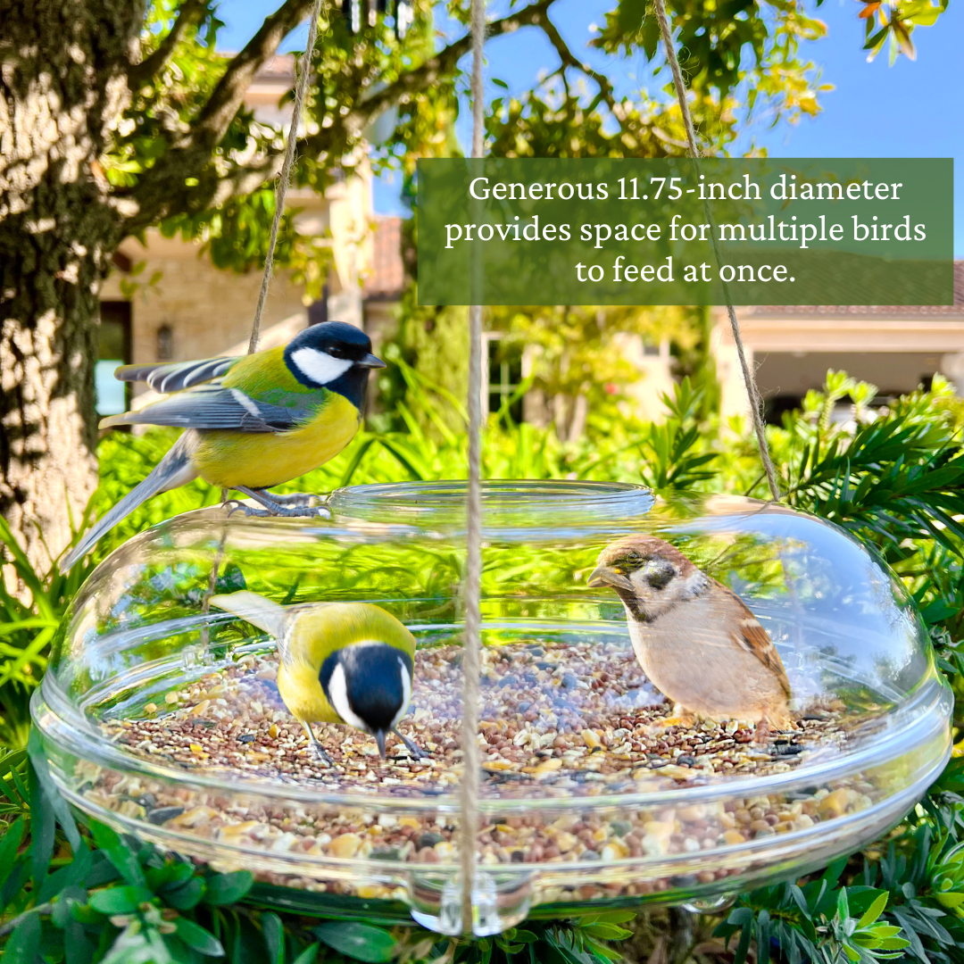 Quackups® UFO Transparent Acrylic Catch-Mess Bird Seed Hanging Bird Feeder