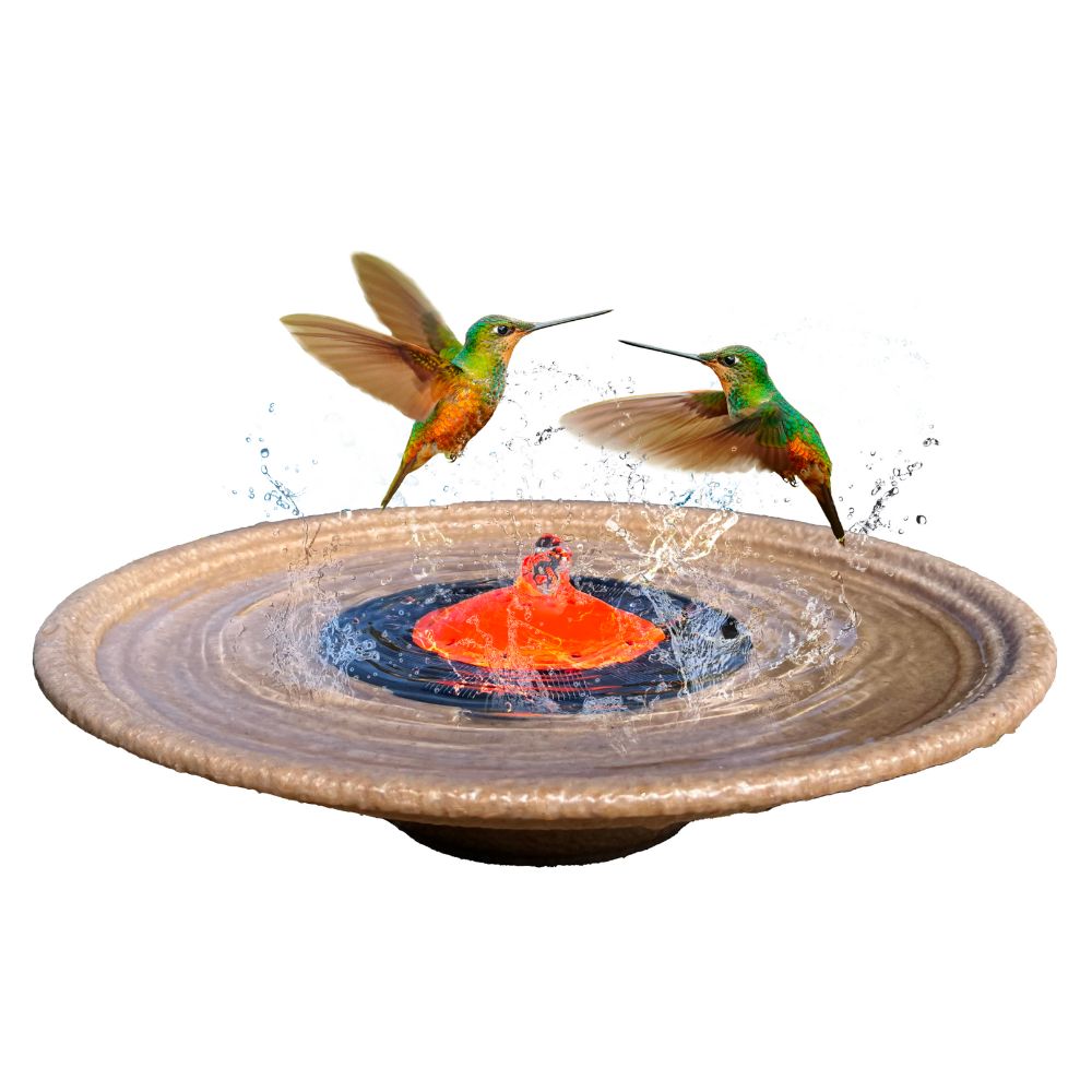 QuackUps Solar Powered Bubbler Fountain for Hummingbirds and Small Birds, Bird Bath - Quackups